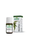 Okaliptus Yağı 20 Ml