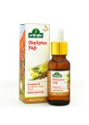 Okaliptus Yağı 20 ml