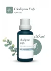 Okaliptus Yağı 30 ml - Ferahlatıcı ve Aromaterapi Yağ