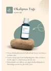 Okaliptus Yağı 30 ml - Ferahlatıcı ve Aromaterapi Yağ
