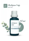 Okaliptus Yağı 30 ml - Ferahlatıcı ve Aromaterapi Yağ