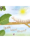 Oluşum Hikayeleri - İpek nasıl oluşur?