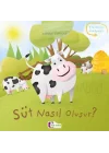 Oluşum Hikayeleri - Süt nasıl oluşur?