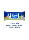 Organik Bambu Zeytinyağlı Islak Mendil 1x50
