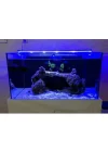 OrionLed Akvaryum Led Aydınlatma Mavi 40Cm