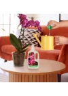 Orkide Sıvı Bitki Besini Gübre 500 ml