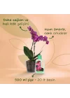 Orkide Sıvı Bitki Besini Gübre 500 ml