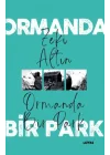 Ormanda Bir Park