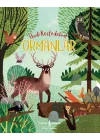 Ormanlar - Hadi Keşfedelim!