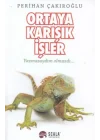 Ortaya Karışık İşler