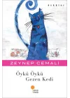 Öykü Öykü Gezen Kedi