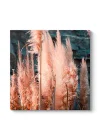Pampas Otu Tablosu 30 x 30