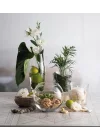 Paşabahçe BOTANICA VAZO 160 MM TEKLİ HEDİYELİK KUTU