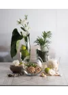 Paşabahçe BOTANICA VAZO 160 MM TEKLİ HEDİYELİK KUTU
