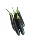 PATLICAN AYDIN SİYAH (ÇOKLU TOHUM) - 5 Gram