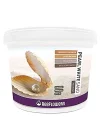 Pearl White Sand (1-1.5 mm) 25 Kg