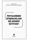 Peygamber düşmanları ne demek istiyor?