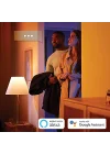 Philips Hue Iris Gümüş Akıllı Led Masa Lambası, Özel Seri, Gen4