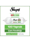 Pine Yüzey Temizlik Havlusu Mendili Çam Ferahlığı 100 Yaprak