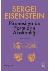 Piranesi ya da Formların Akışkanlığı