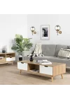 Polino Eskitme Aplik 1XE27