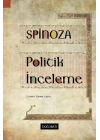 Politik İnceleme