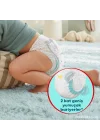Premium Care Külot Bebek Bezi 4 Numara 44 Adet Maxi İkiz Paket