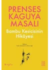 Prenses Kaguya Masalı