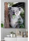 (pster16678) Koala Hayvan Kanvas Tablo 40 x 60