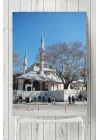 (pster3365) Camii Posteri 6