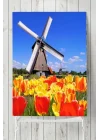(pster4910) Hollanda Manzara Posteri