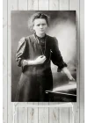 (pster6257) Curie Bilimsel Poster