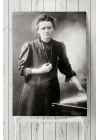 (pster6257) Curie Bilimsel Poster