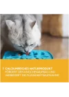 Puding Kedi Ödülü 150 gr