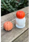 Pumpkin Orta Boy Mum Kalıbı (Silikon)
