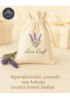 Punch Seti-Kolay-Liva Craft