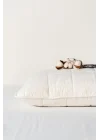 Pure Cotton Pamuk Dolgu Yastık