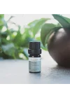 Radika Aromaterapi ÇAY AĞACI UÇUCU YAĞI - ORGANİK 5ml