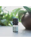 Radika Aromaterapi ÇAY AĞACI UÇUCU YAĞI - ORGANİK 5ml