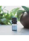 Radika Aromaterapi DEFNE YAPRAĞI UÇUCU YAĞI - ORGANİK 5 ml