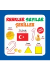 Renkler - Sayılar - Şekiller Türkçe-İngilizce