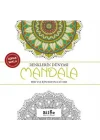 Renklerin Dünyası -Mandala
