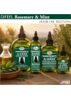 Rosemary & Mint Saç Yağı 75ML