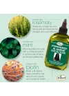 Rosemary & Mint Saç Yağı 75ML