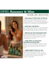 Rosemary & Mint Saç Yağı 75ML