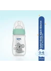 Safari PP Biberon 250 ml - KOALA
