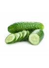 SALATALIK KORNİŞON (ÇOKLU TOHUM) - 3 Gram