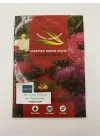 SARAYPATI BODUR (ÇOKLU TOHUM) - 125 Tohum - KARIŞIK Renk