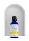 Sarı kantaron yağı- ST.JOHNS WORT 50 ML phy54