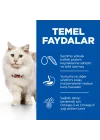 Science Plan Hypoallergenic Yumurta ve Böcek Proteinli Kedi Maması 1,5kg